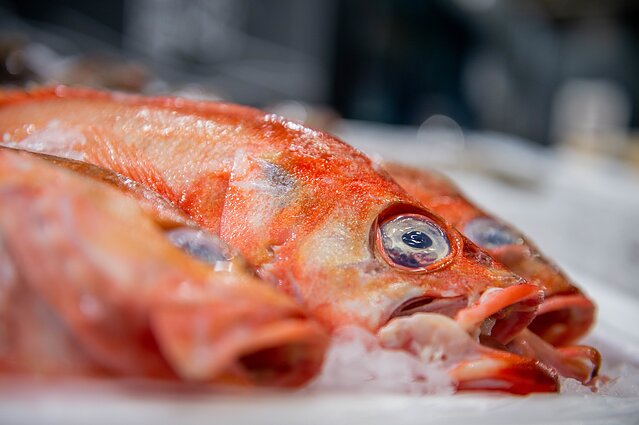 Pasaulio puodai. Ved. Vytaras Radzevičius