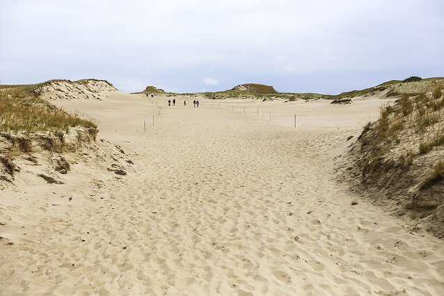 Kuršių nerija