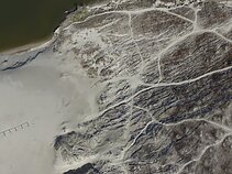 Kuršių nerija