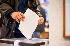 Balsavimas 2020 metų Seimo rinkimuose