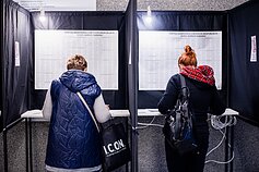 Balsavimas 2020 metų Seimo rinkimuose