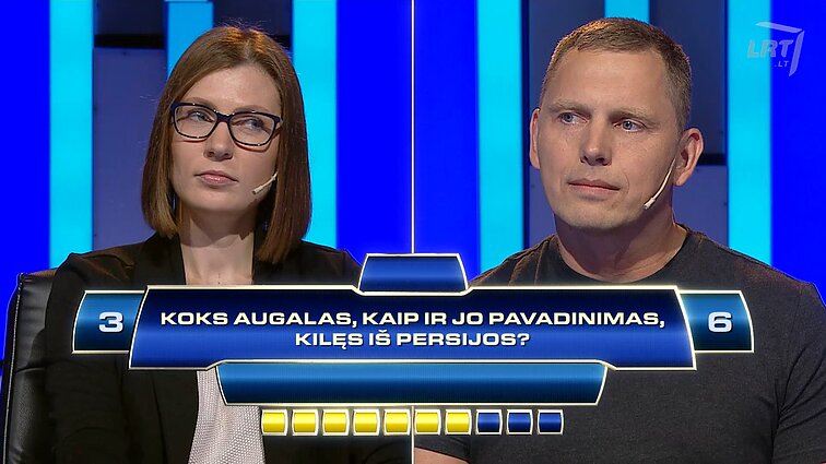 Kas ir kodėl? Koks augalas, kaip ir jo pavadinimas, kilęs iš Persijos?
