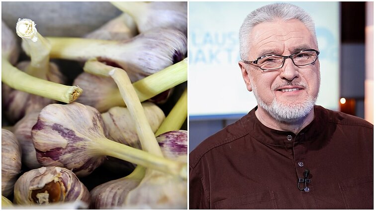 Česnakas – virtuvės karalius: ne tik kovoja su virusais, bet ir mažina kraujospūdį