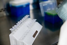 VU Gyvybės mokslų centro laboratorija VU Gyvybės mokslų centro laboratorija