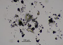 Klaipėdos universiteto oro taršos tyrimo pristatymas