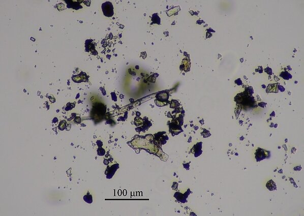 Klaipėdos universiteto oro taršos tyrimo pristatymas