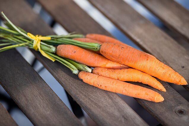 Žinios. Derlių išvers laukuose – dėl pandemijos Lietuvoje labiausiai nukentėjo vidutiniai daržininkystės ūkiai