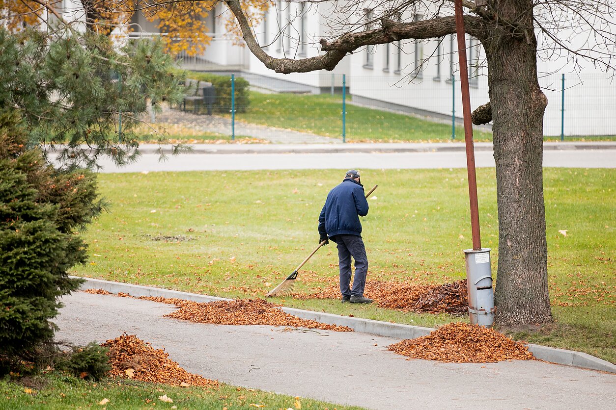 Ruduo Vilniuje
