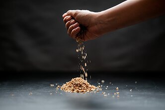 Grikiai Grikiai