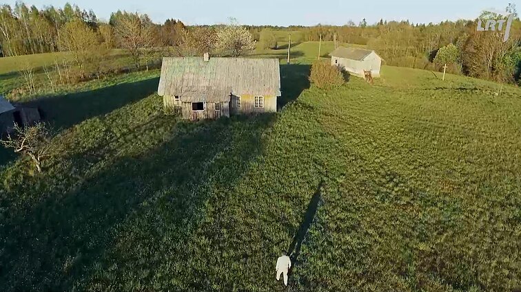 KLIPVID 2020. UraganiuS – „Gegutė Raiboji“