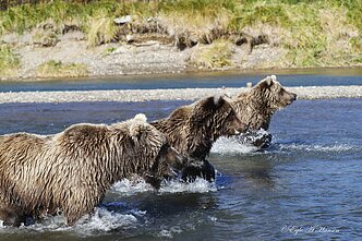 Eglės Aukštakalnytės Hansen kelionės
