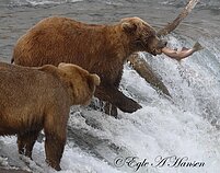 Eglės Aukštakalnytės Hansen kelionės