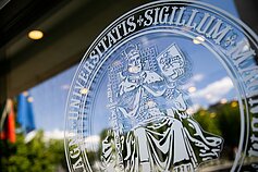 Университет имени Витаутаса Великого