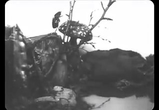 Vladislavo Starevičiaus filmo „Gražioji Lukianida“ epizodas