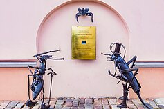 Atminimo lenta Vladislavui Starevičiui Kaune