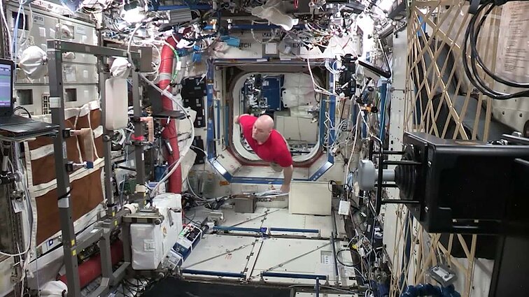 Kaip augalai įkvepia technologijas?