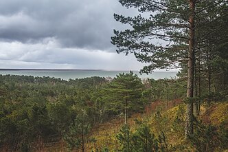 Kuršių nerija