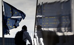 Europos Sąjungos vėliava Europos Sąjungos vėliava