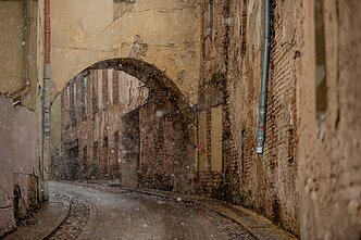 Pavasario sniegas Vilniuje