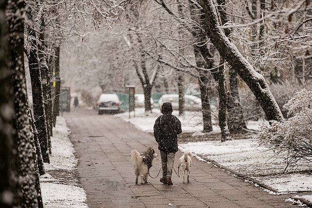 Ateinančios savaitės orai: be sniego ir šlapdribos laukia ir žemesnė temperatūra