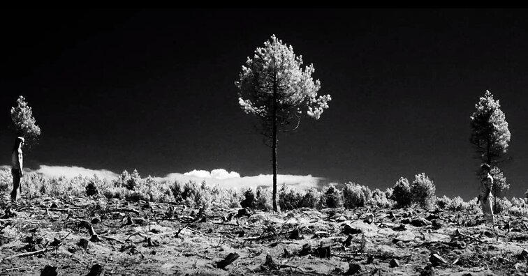 KLIPVID 2020. Jurga – „Try Me“ (N-18)