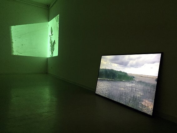 Marija Marcelionytė-Paliukė. Videoinstaliacijos fragmentas. 2019 Iš personalinės parodos. „Ryšiai. Mikorizė“. Galerija „Akademija“, Vilnius Marija Marcelionytė-Paliukė. Videoinstaliacijos fragmentas. 2019 Iš personalinės parodos. „Ryšiai. Mikorizė“. Galerija „Akademija“, Vilnius