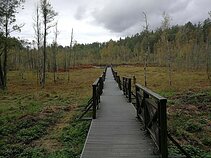 Metelių regioniniame parke – naujas 11 km ilgio pėsčiųjų maršrutas