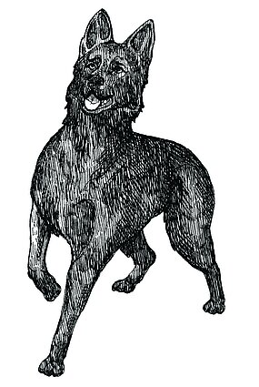 „Europos pavasaris“