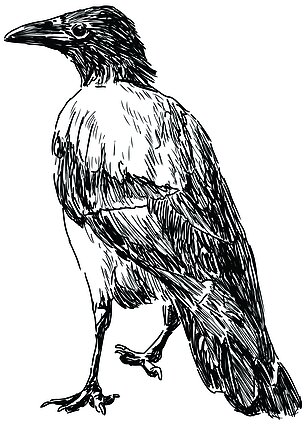 „Europos pavasaris“