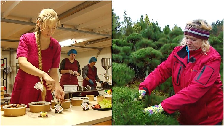 Gyventi kaime gera. Senąsias kultūras išsaugantis šeimos ūkis ir viską apie medžius žinanti medelyno kūrėja