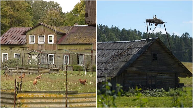 Atspindžiai. Paveldo kolekcija. Tradicinių sodybų likimai – puoselėjamų išlieka vis mažiau