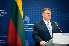 Linas Linkevičius