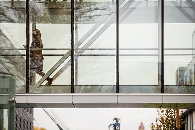 Žinios. Augant mirčių nuo koronaviruso skaičiui, Veryga sako, kad tai neišvengiama