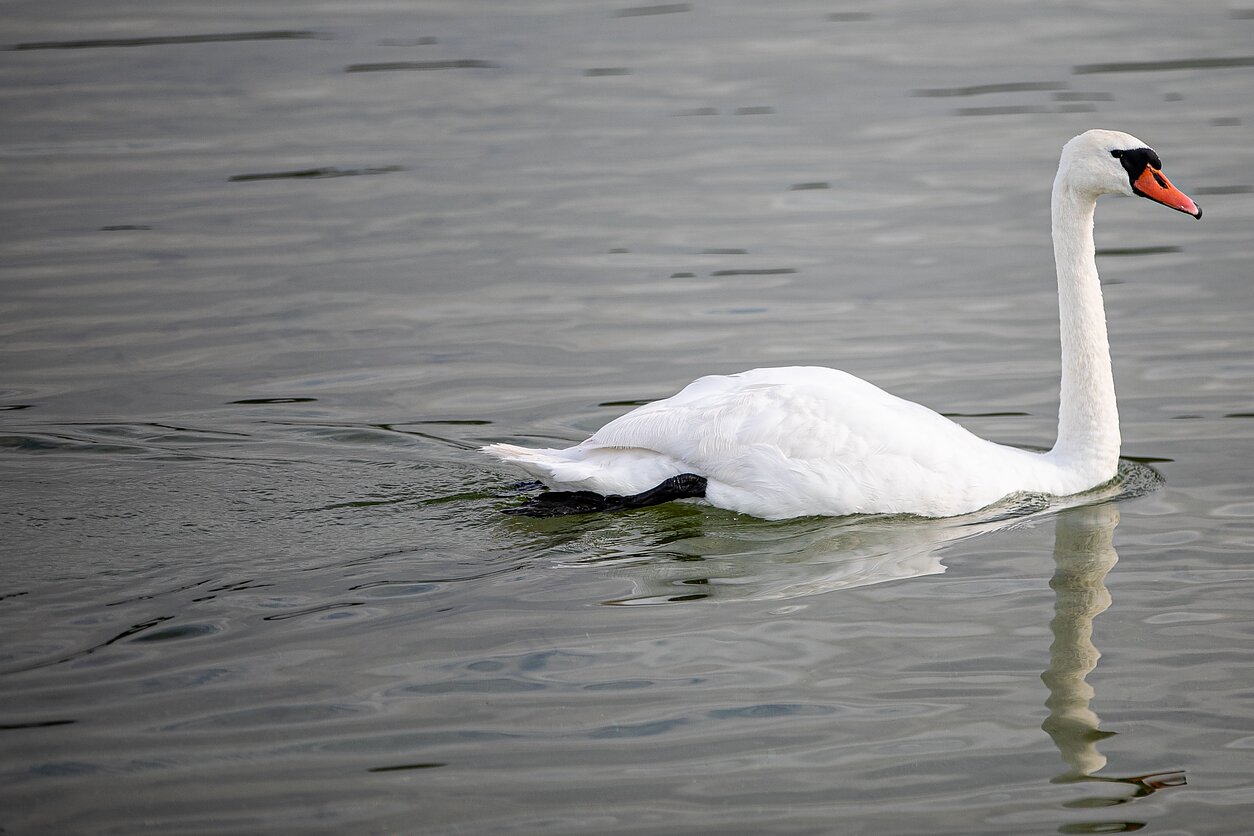 Matelių regioninis parkas