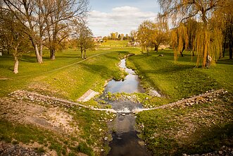 Kėdainiai