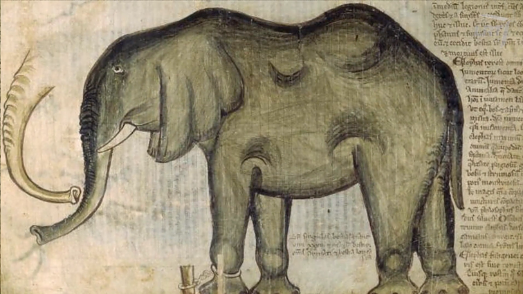 Donelaičio „Metų“ mįslė: ar rašytojas buvo matęs šį egzotišką gyvūną?