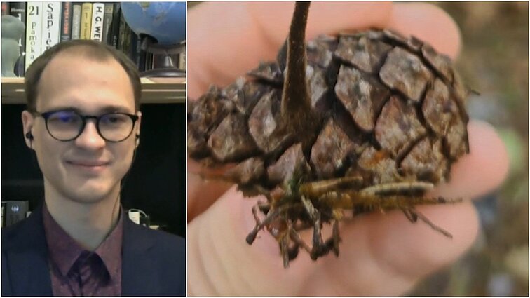 Baigėsi žaidimas „Surask juos visus“, kvietęs vaikus į gamtą: ieškojo įvairiausių rūšių gyvūnų ir augalų