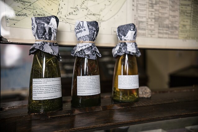 Žinios. VU geologijos muziejaus erdvėse – VDA magistrantų paroda „Intruzija“