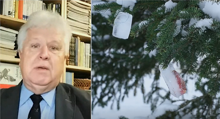 Kai gamta susipina su šventėmis: Selemonas Paltanavičius eglutes puošia žaisliukais iš ledo