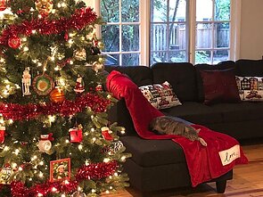 Lauryno R. Misevičiaus šventinė akimirka