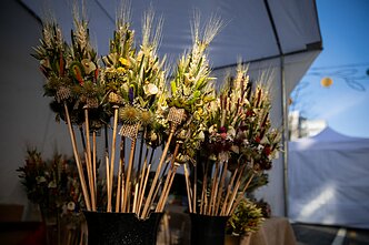 Tradicinė Kaziuko mugės atidarymo eisena