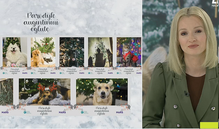 Labas rytas, Lietuva II d. Ir naminiams gyvūnams šventės šiemet kitokios: akcija „Parodyk augintiniui eglutę“ – internete