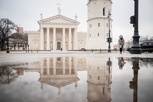 Vilniaus katedra