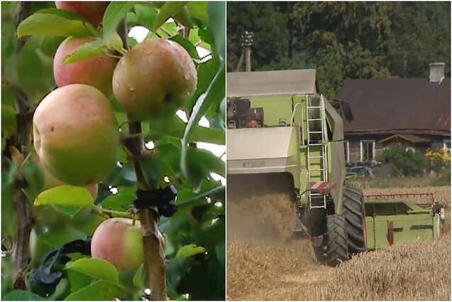 Gyventi kaime gera. Kaip sukurti išskirtinį gėlyną ar sodą ir protėvių tradicijas puoselėjantis ūkininkas