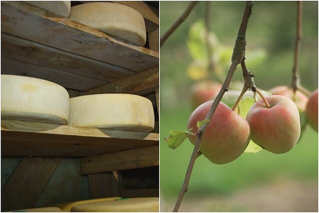 Gyventi kaime gera. Kaip gaminti ir brandinti išskirtinį sūrį ir kodėl nereikia skubėti naikinti obelų sodo?