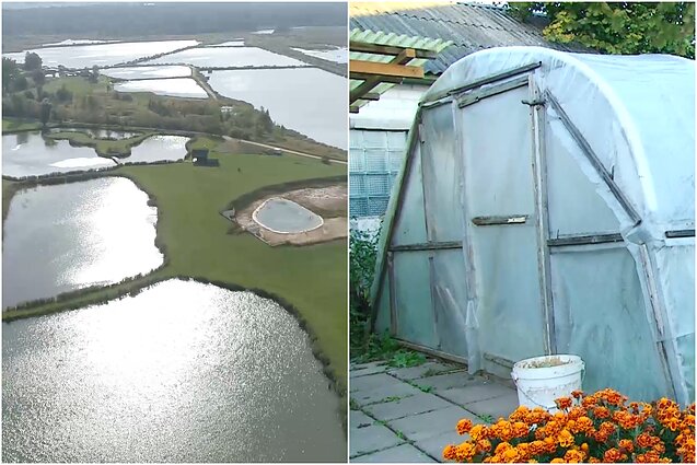 Gyventi kaime gera. Arūno Valinsko tvenkiniai ir kodėl yra svarbu paruošti šiltnamį žiemai?