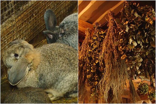 Gyventi kaime gera. Ritos ir Manto ūkis, kuriame netrūksta veiklos, ir patarimai tikrai kaimiškai pirčiai