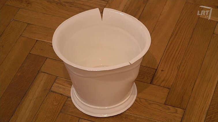 Metų „Kultūros diena“.