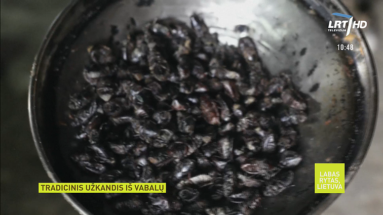 Zimbabvėje nuo medžio kratomi ne obuoliai, o vabalai: jie renkami užkandžiui gaminti