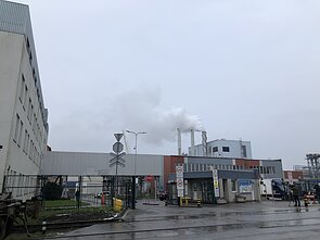 Grigeo Klaipėda Grigeo Klaipėda